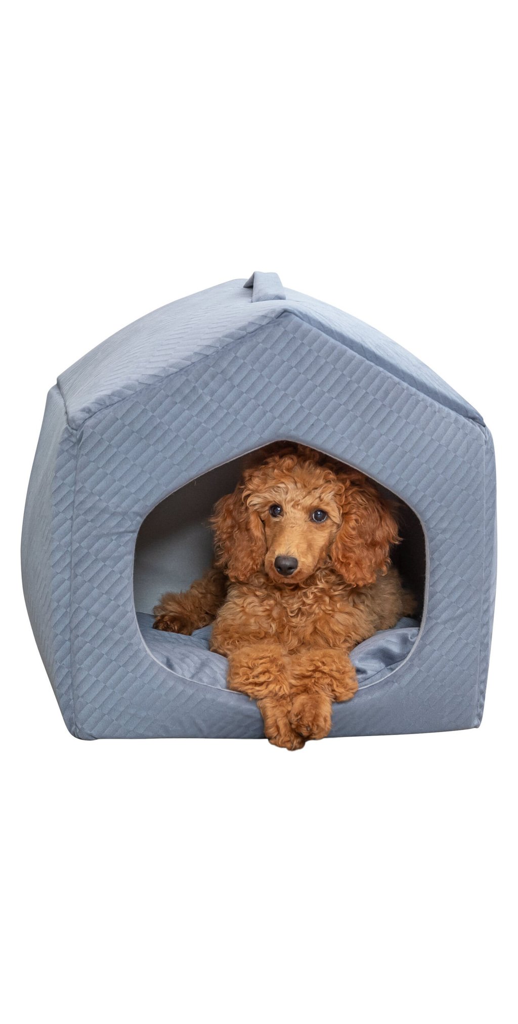 Abri alena (chien) — TRIXIE — vue 2