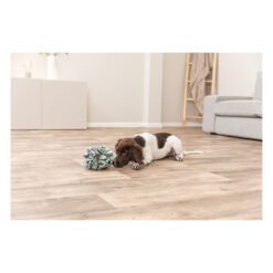 Balle a renifler — TRIXIE — vue 2