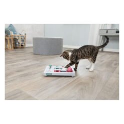 Brain Mover — jeu de stratégie pour chat — TRIXIE — vue 2