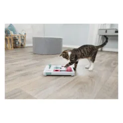 Brain Mover — jeu de stratégie pour chat — TRIXIE — vue 2