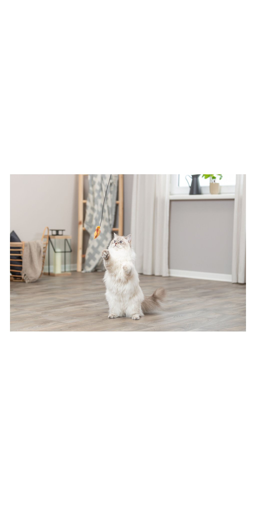 Canne a peche poisson — TRIXIE — vue 3