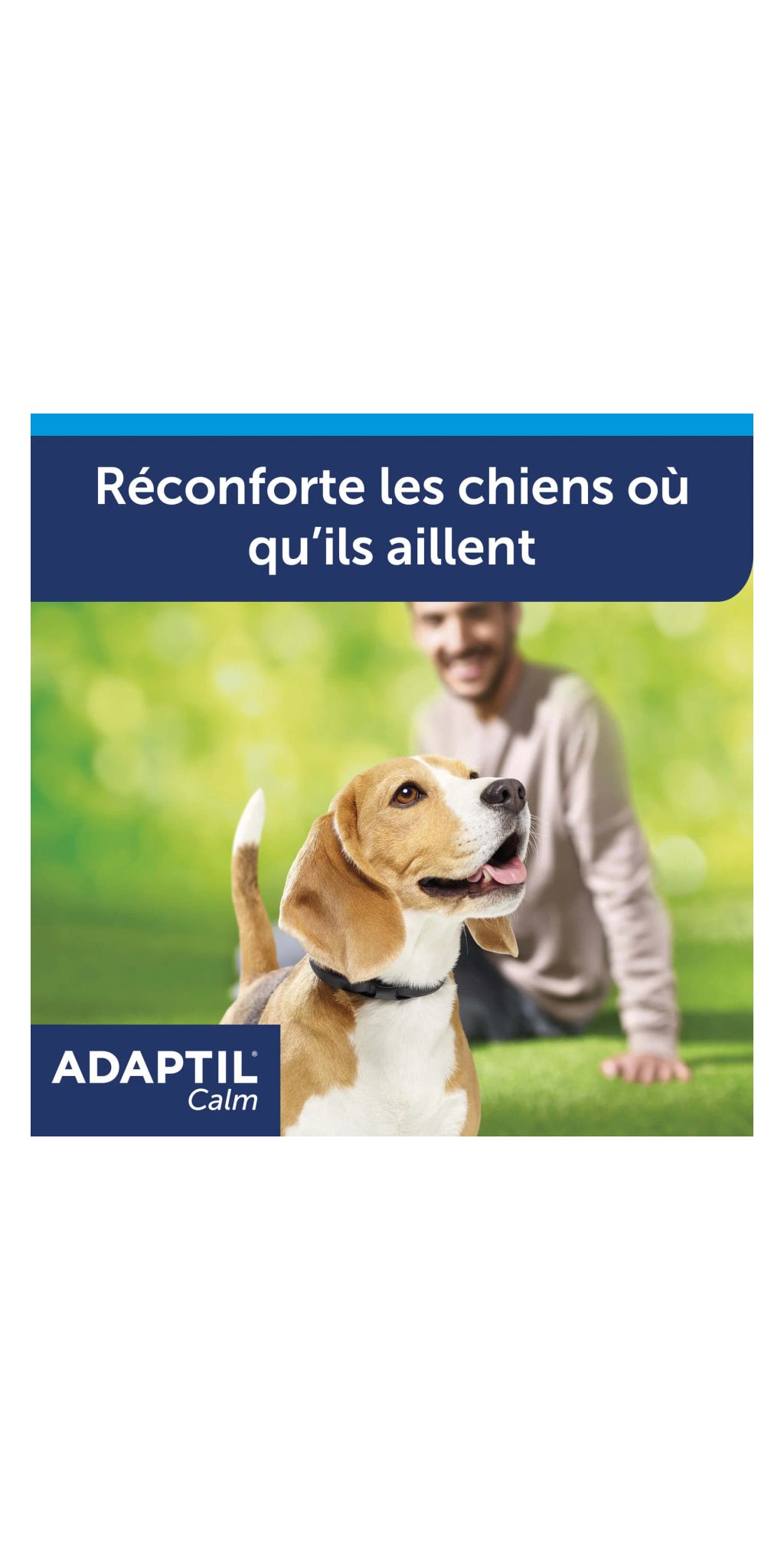 Collier Calm — ADAPTIL — vue 2