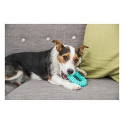 Denta fun anneau — TRIXIE — vue 2