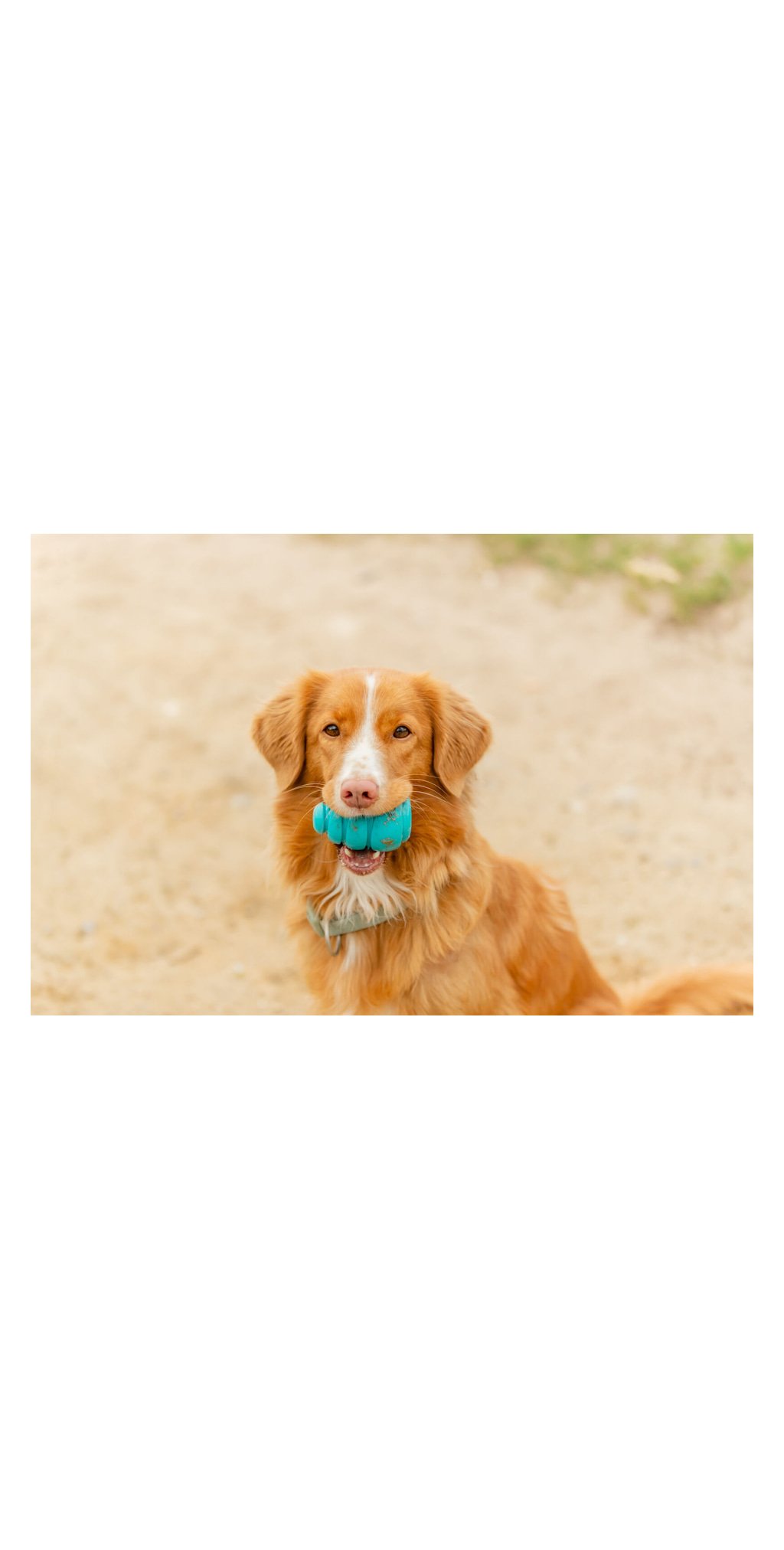 Jouet pour chien super jumper en tpr particulierement resistant — TRIXIE — vue 5