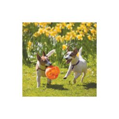 Jumbler Ball — KONG — vue 2