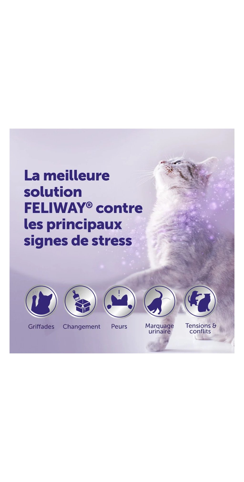 Kit diffuseur Optimum 48 ml — FELIWAY — vue 4