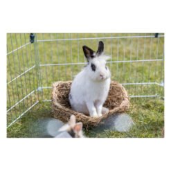 Lit en herbe — TRIXIE — vue 2