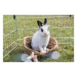 Lit en herbe — TRIXIE — vue 2