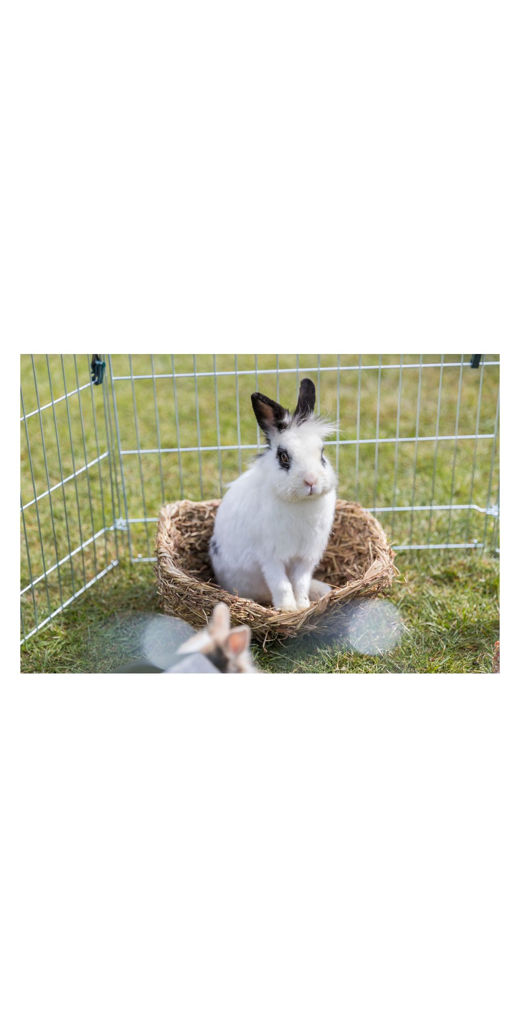 Lit en herbe — TRIXIE — vue 2