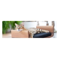 Litière végétale agglomérante Original — Cat’s Best — vue 2