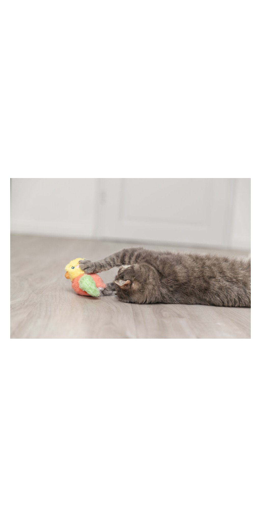Oiseau fretillant — TRIXIE — vue 5