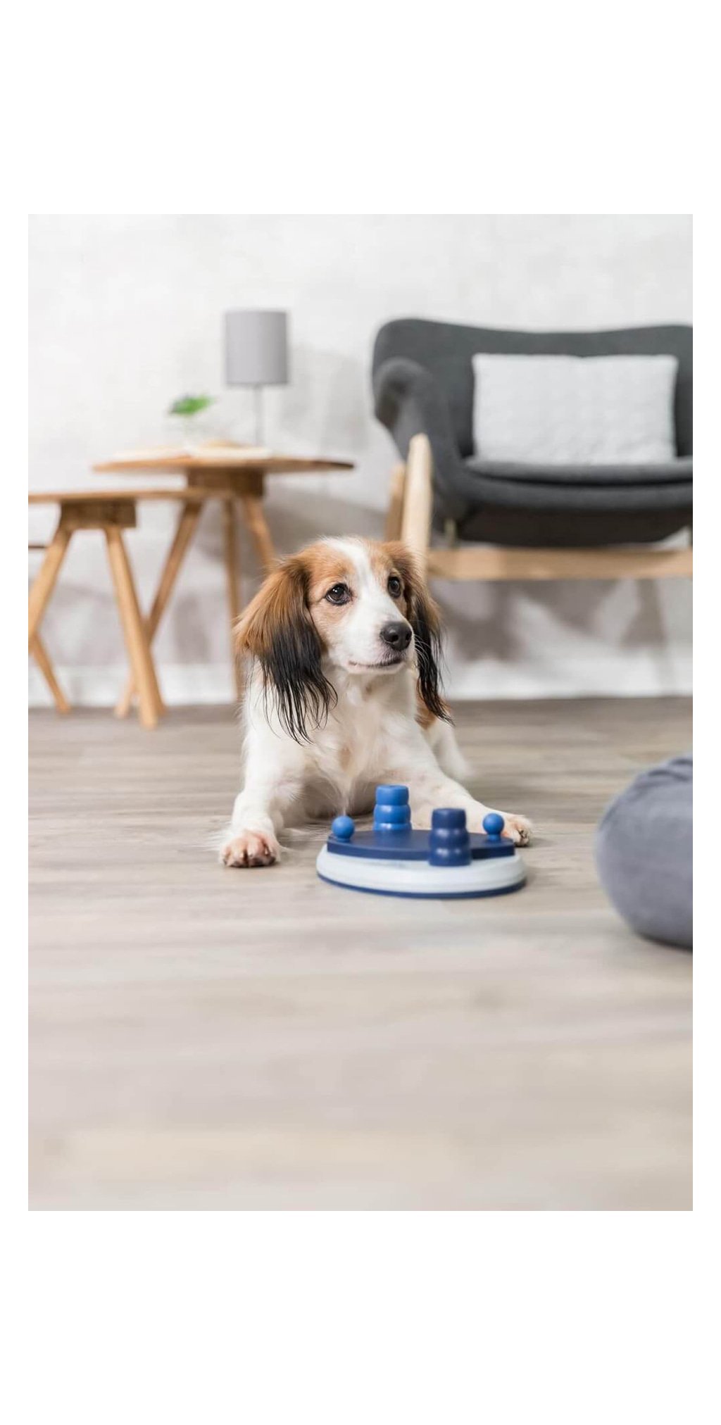 Push away jeu de strategie — TRIXIE — vue 2
