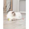 Set de balles avec bosses — TRIXIE — vue 1