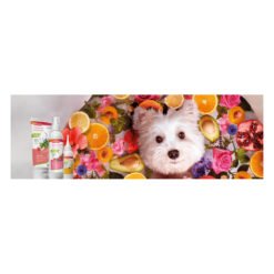 Shampooing démêlant 2-en-1 ECOCERT pour chien — Beaphar — vue 2