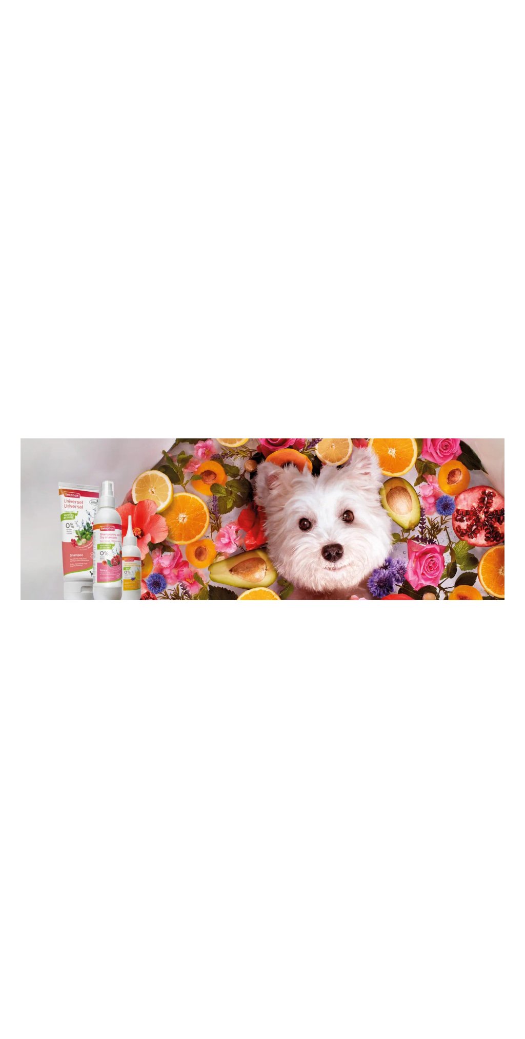 Shampooing démêlant 2-en-1 ECOCERT pour chien — Beaphar — vue 2