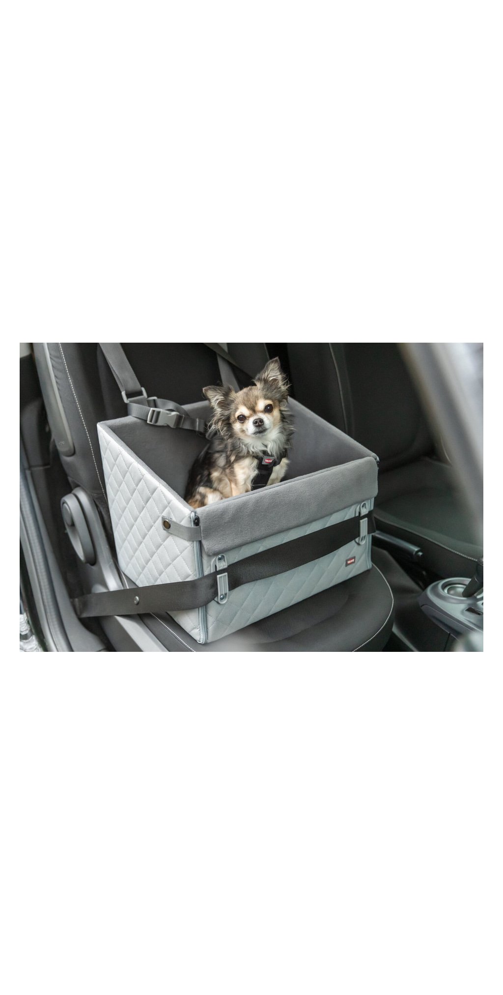 Siege sureleve pour chiens avec fixation par ceinture et laisse courte — TRIXIE — vue 4