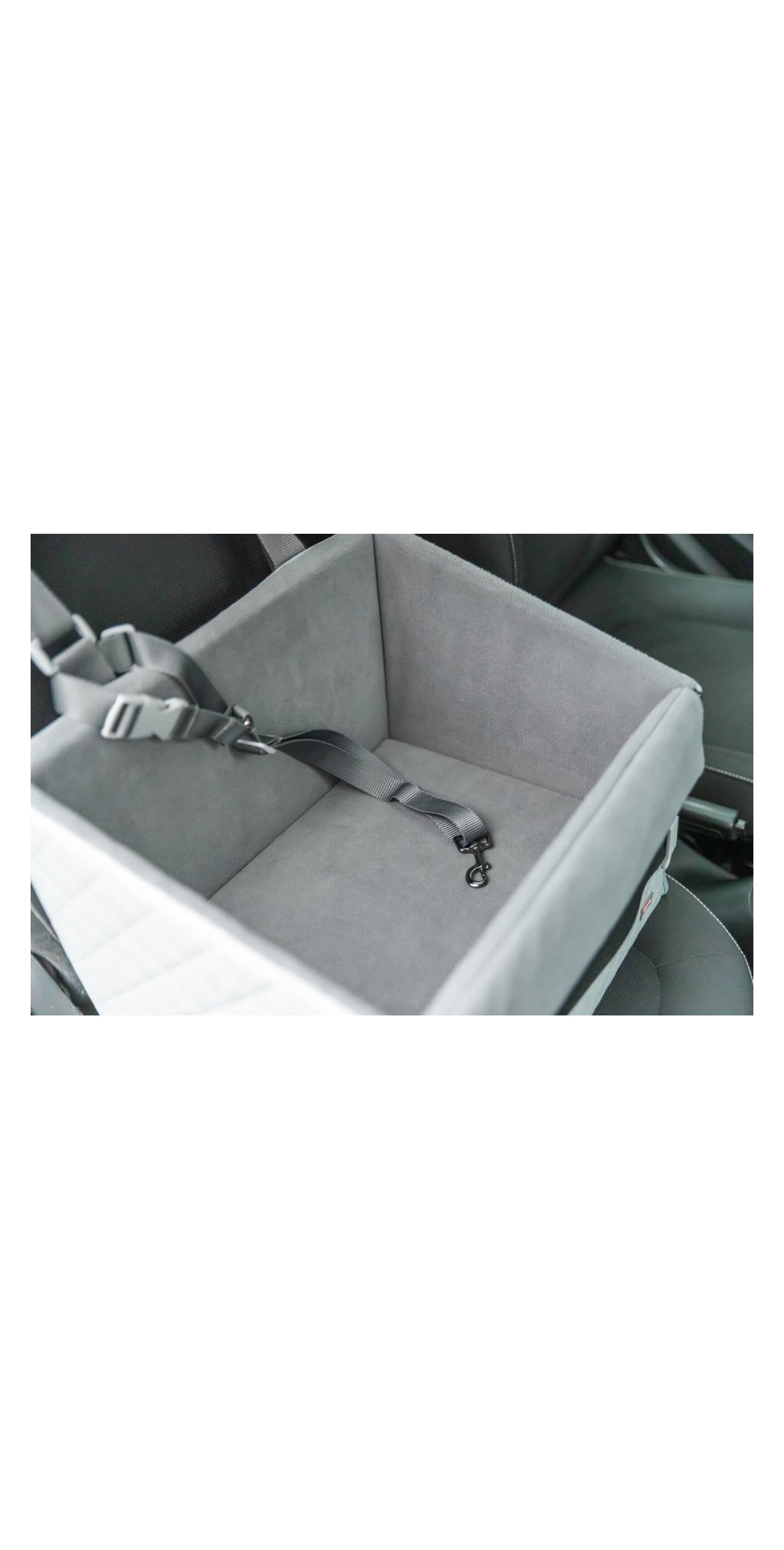 Siege sureleve pour chiens avec fixation par ceinture et laisse courte — TRIXIE — vue 5